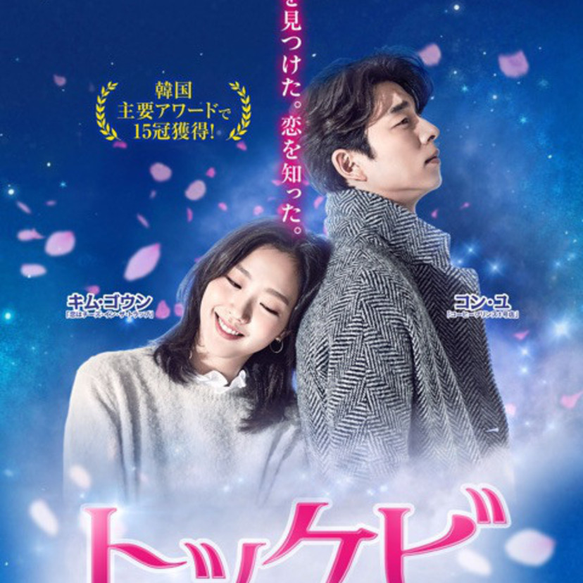 シムクン♡桜のシーンが素敵な韓国ドラマ