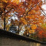 秋に散策したいソウルのおすすめスポット3選！